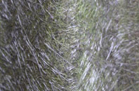 Alcester fibreglass roof work